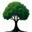 Icona albero della vita